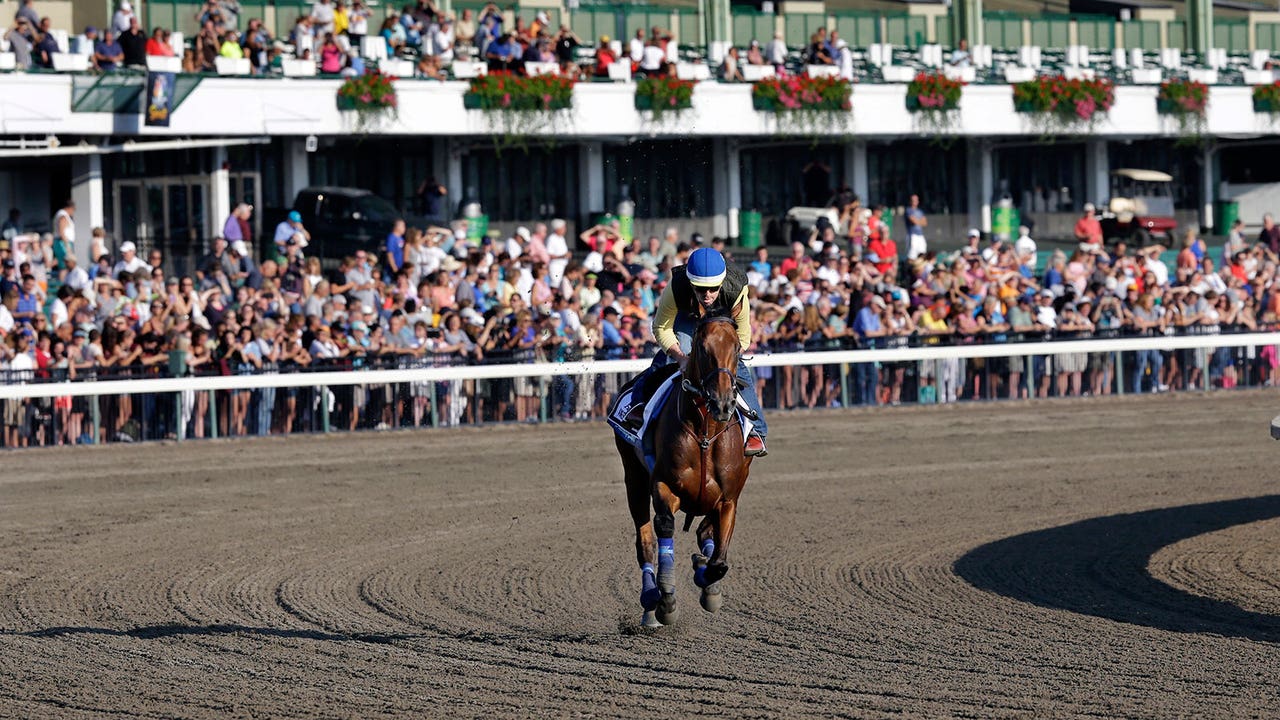 In the presence of royalty: American Pharoah reigns at Monmouth Park